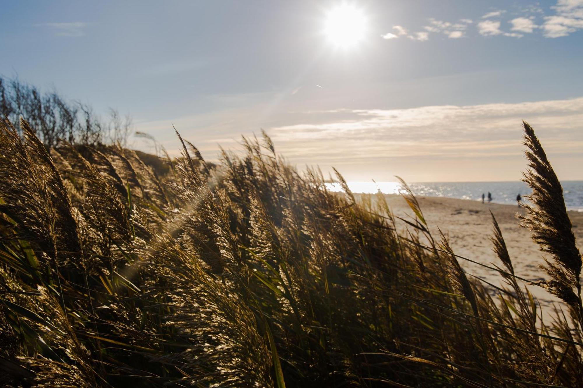 Strandhaus Claassen 07 Ahrenshoop Zewnętrze zdjęcie